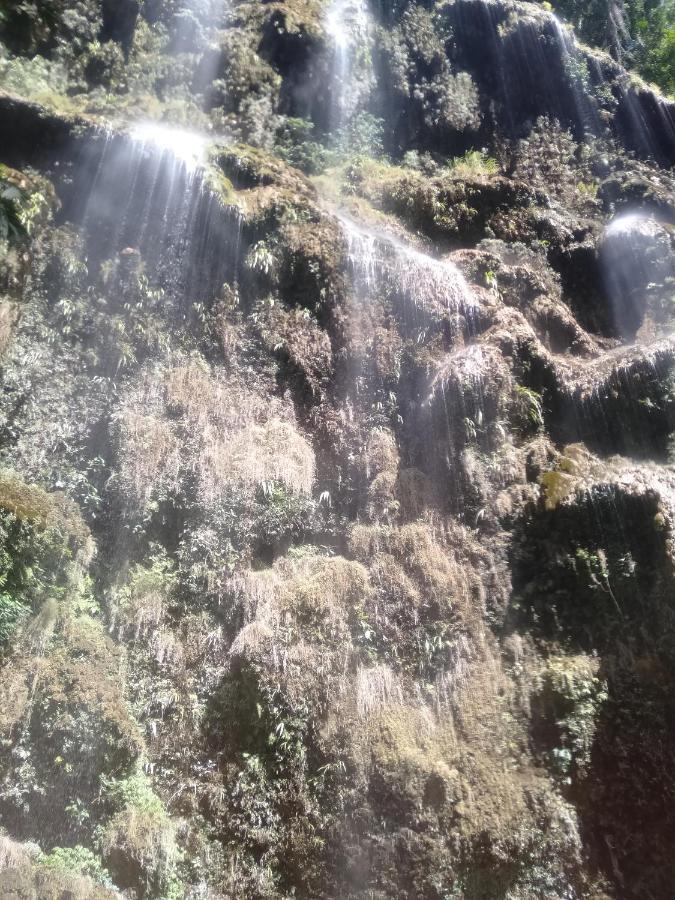 منتجع ساشا في أوسلوب المظهر الخارجي الصورة